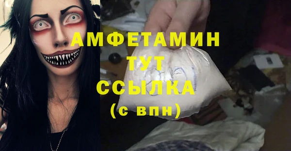 сатива Волоколамск