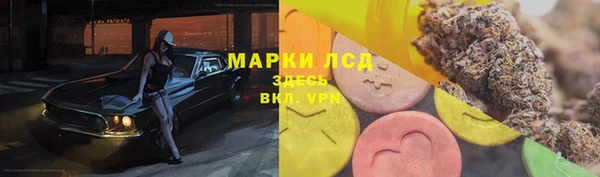 круглые Вязьма