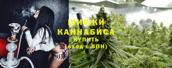 сатива Волоколамск