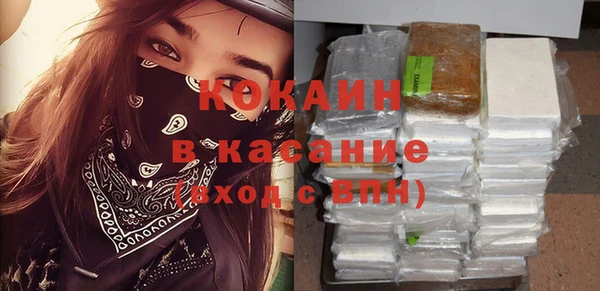 сатива Волоколамск