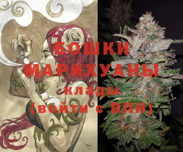 сатива Волоколамск