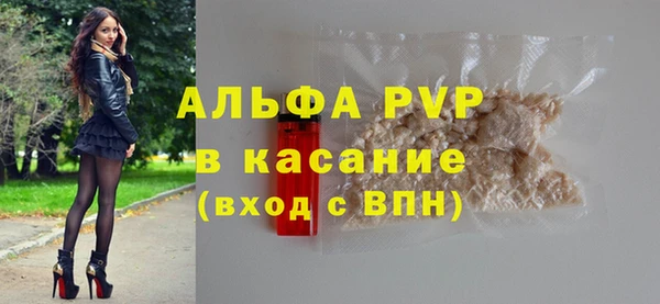 сатива Волоколамск