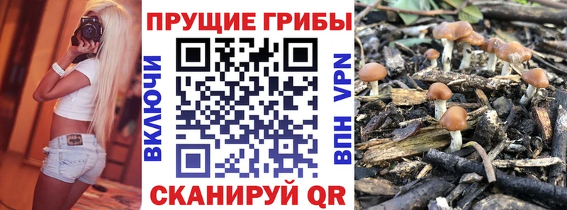 Галлюциногенные грибы Magic Shrooms  Купить закладки  Льгов 