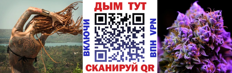 Купить где  Льгов  Шишки марихуана SATIVA & INDICA 